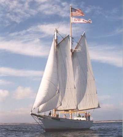 Bay Lady 