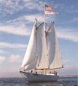 Bay Lady 
