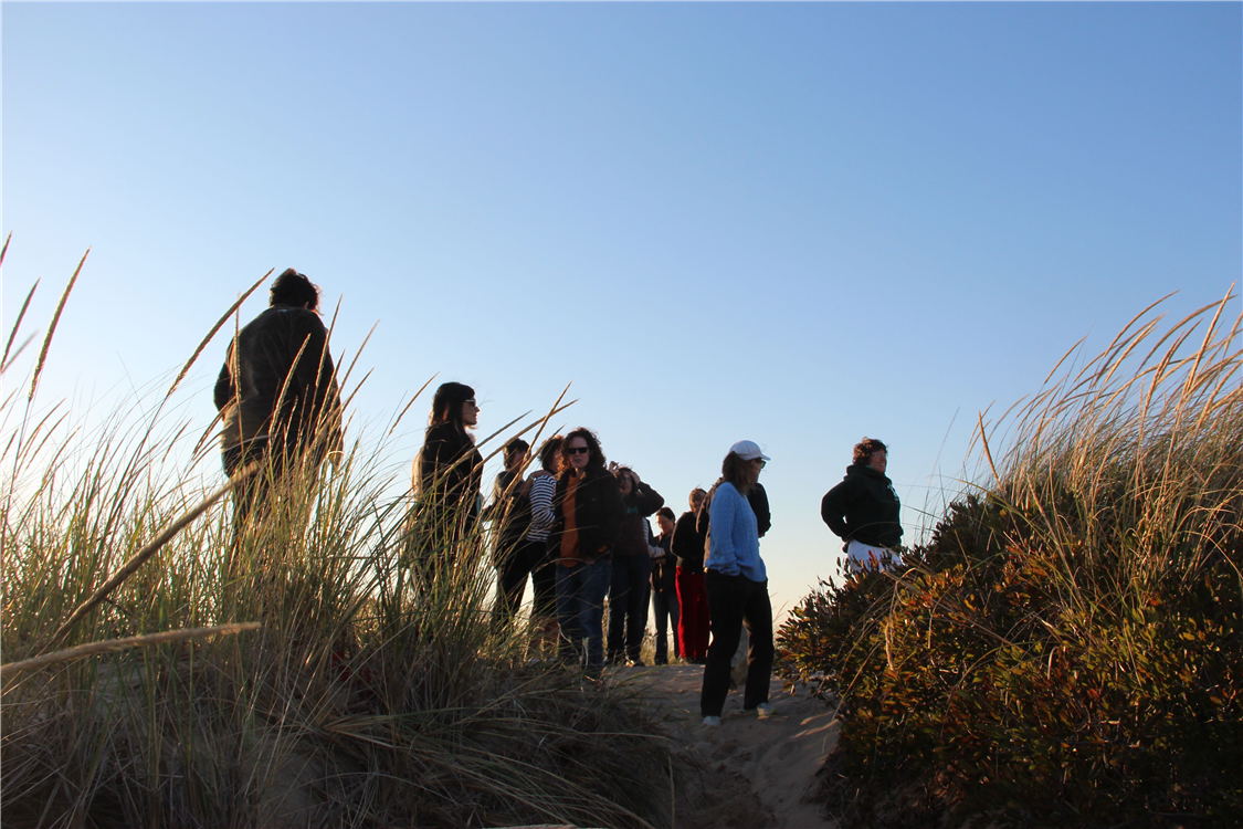 Explore the dune of Cape Cod National Seashore.