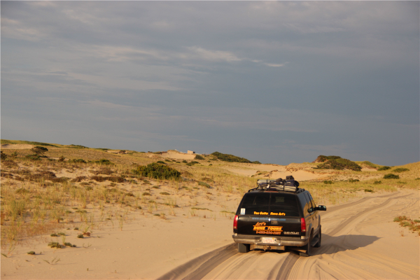 Experienced guides describe the history and flora and fauna.