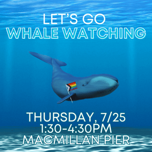 Girl-Splash-Whale_Watch-2
